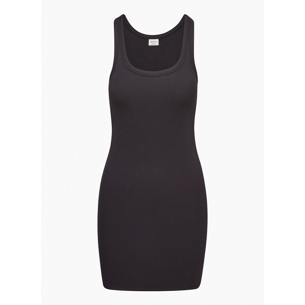 Aritzia Wilfred Free CABANA DRESS